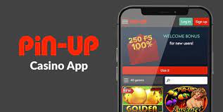 PIN-UP Gambling Enterprise Application Review: Pc Gaming on the move